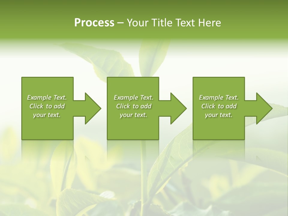 A Green Plant With Leaves On A Sunny Day PowerPoint Template