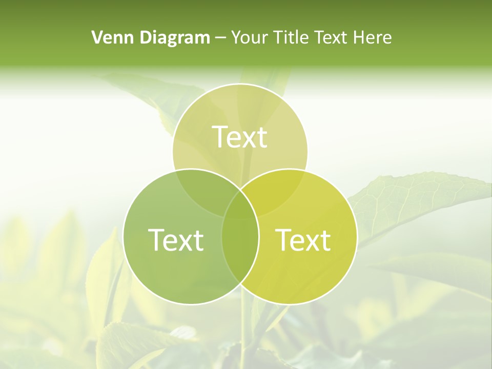 A Green Plant With Leaves On A Sunny Day PowerPoint Template
