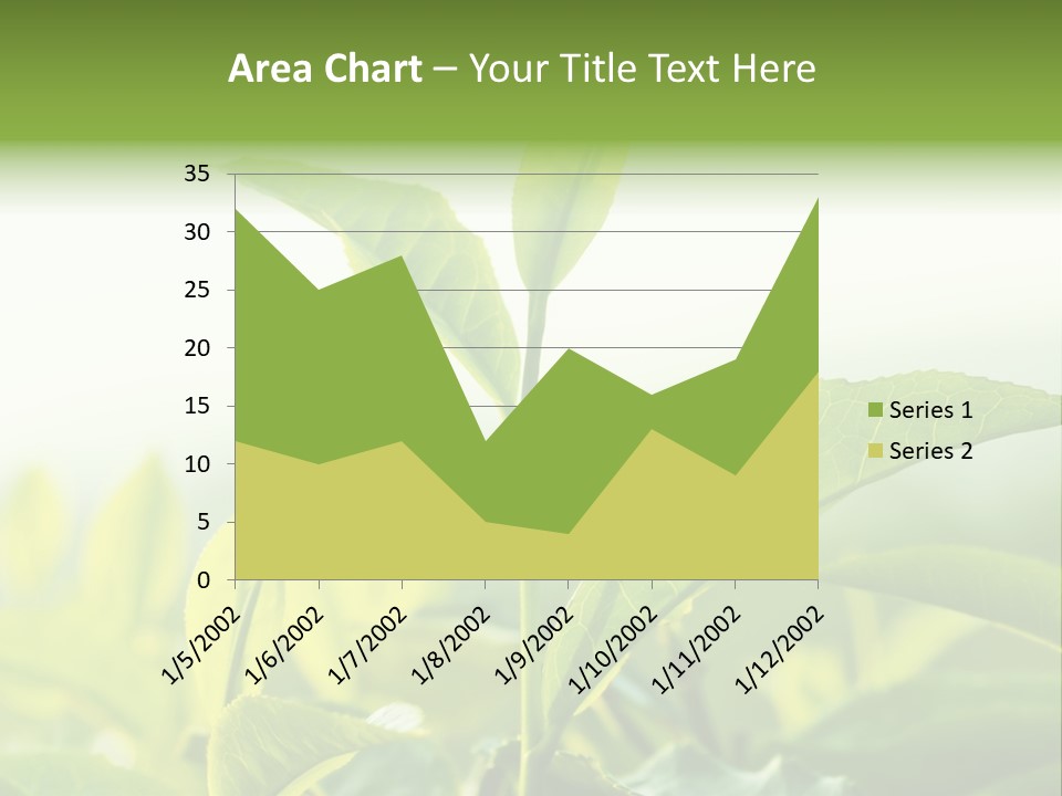 A Green Plant With Leaves On A Sunny Day PowerPoint Template