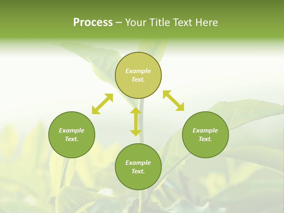 A Green Plant With Leaves On A Sunny Day PowerPoint Template