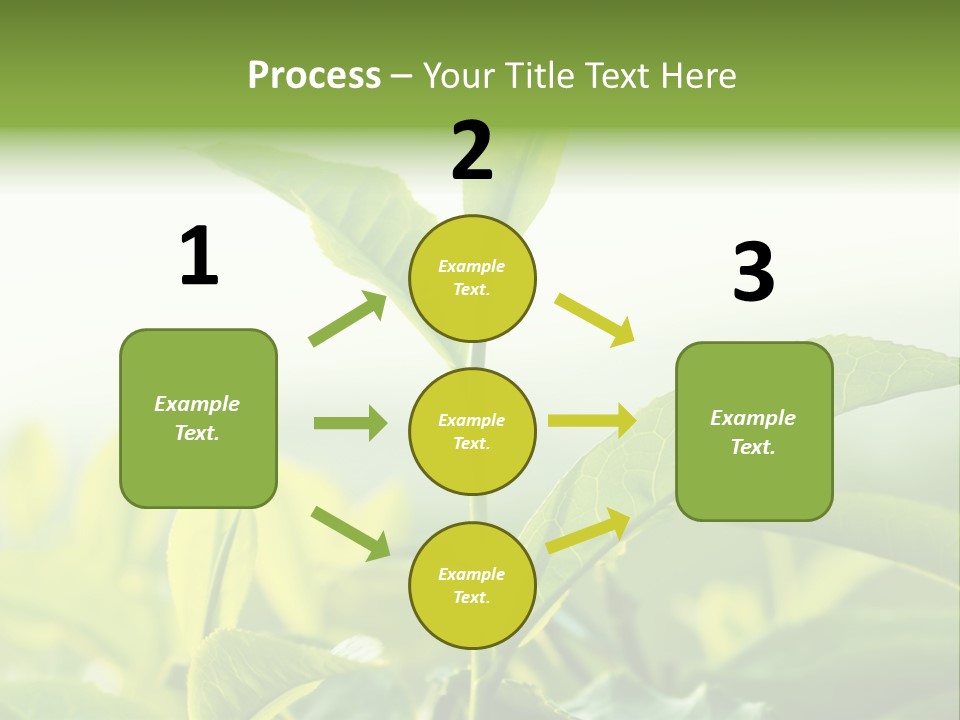 A Green Plant With Leaves On A Sunny Day PowerPoint Template