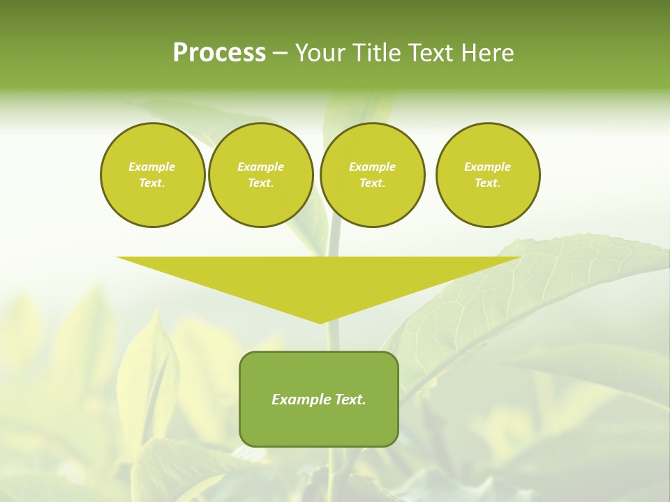 A Green Plant With Leaves On A Sunny Day PowerPoint Template