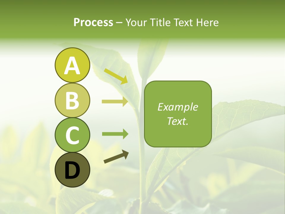 A Green Plant With Leaves On A Sunny Day PowerPoint Template