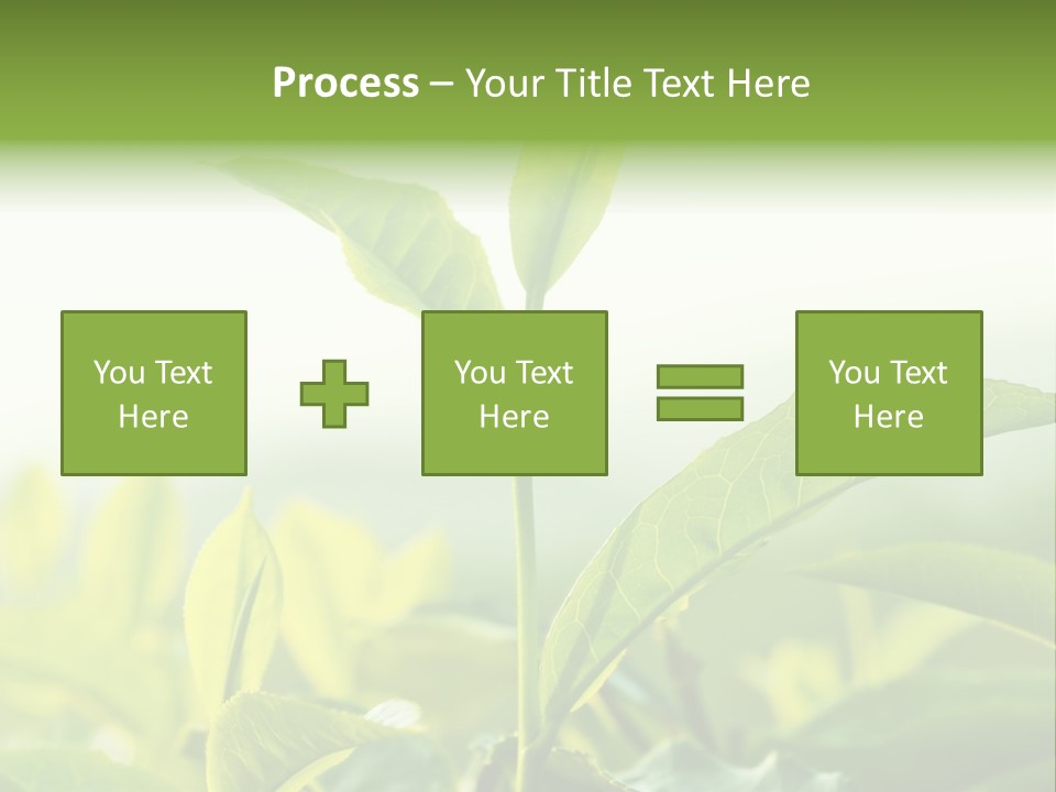 A Green Plant With Leaves On A Sunny Day PowerPoint Template