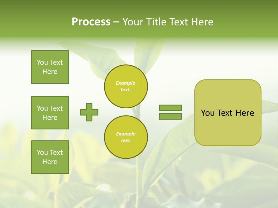 A Green Plant With Leaves On A Sunny Day PowerPoint Template
