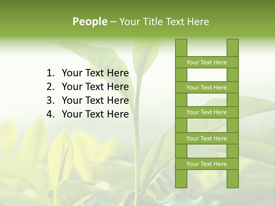 A Green Plant With Leaves On A Sunny Day PowerPoint Template