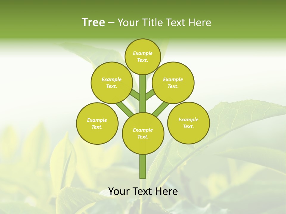 A Green Plant With Leaves On A Sunny Day PowerPoint Template