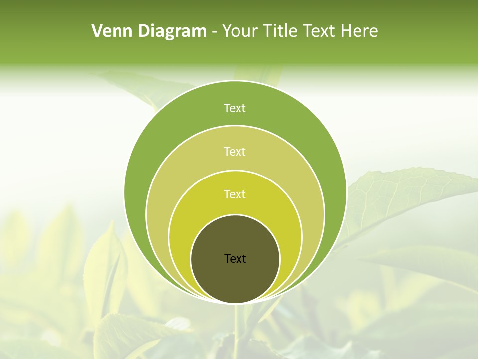 A Green Plant With Leaves On A Sunny Day PowerPoint Template