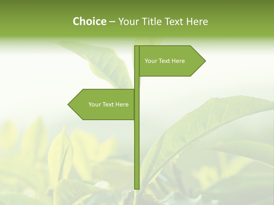 A Green Plant With Leaves On A Sunny Day PowerPoint Template