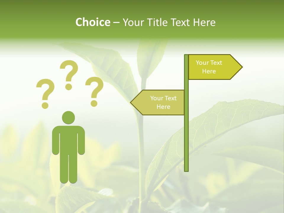 A Green Plant With Leaves On A Sunny Day PowerPoint Template