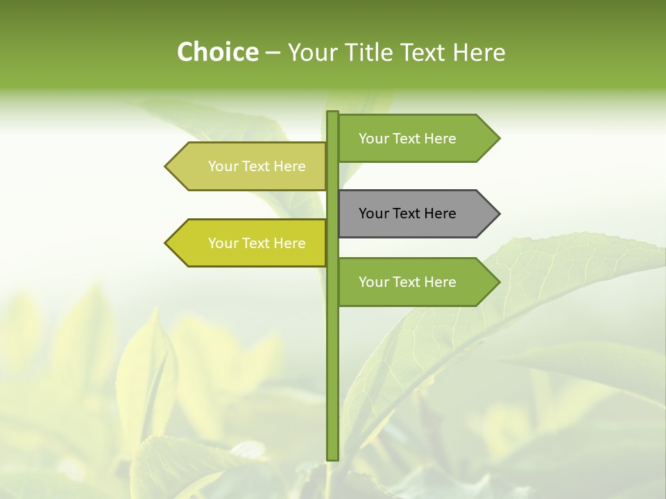 A Green Plant With Leaves On A Sunny Day PowerPoint Template