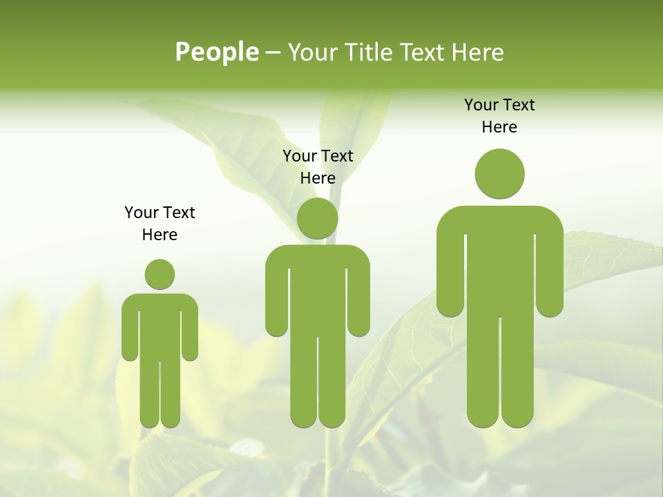 A Green Plant With Leaves On A Sunny Day PowerPoint Template