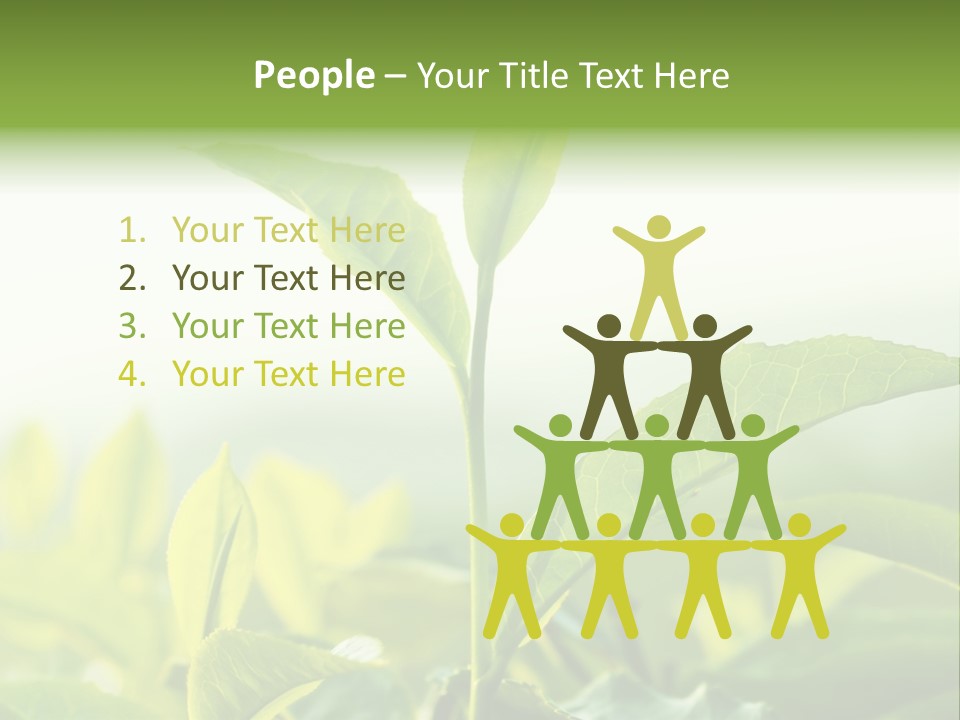 A Green Plant With Leaves On A Sunny Day PowerPoint Template