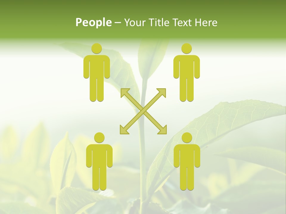 A Green Plant With Leaves On A Sunny Day PowerPoint Template