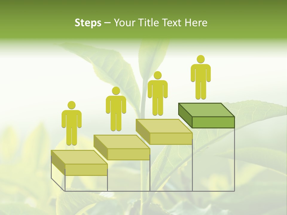 A Green Plant With Leaves On A Sunny Day PowerPoint Template