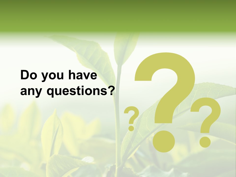 A Green Plant With Leaves On A Sunny Day PowerPoint Template