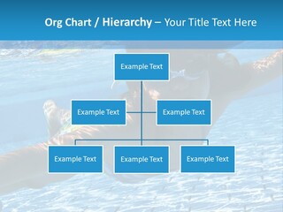 Recreation Blue Child PowerPoint Template