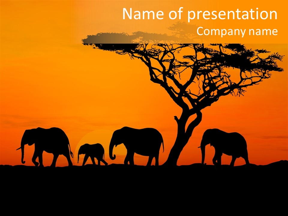 A Group Of Elephants Standing Under A Tree At Sunset PowerPoint Template