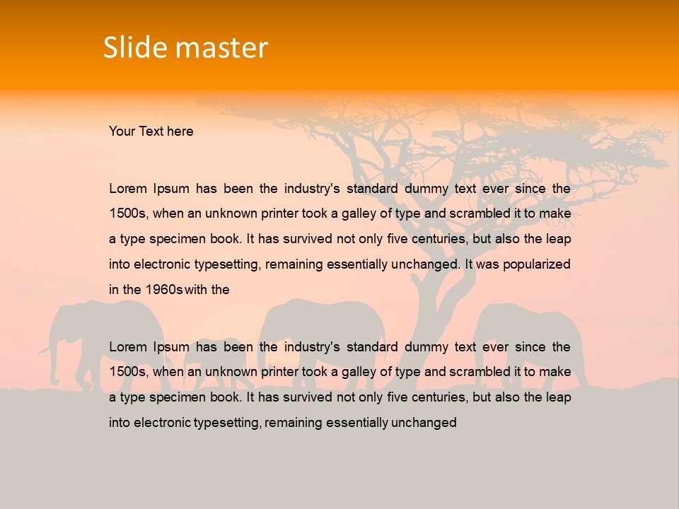 A Group Of Elephants Standing Under A Tree At Sunset PowerPoint Template