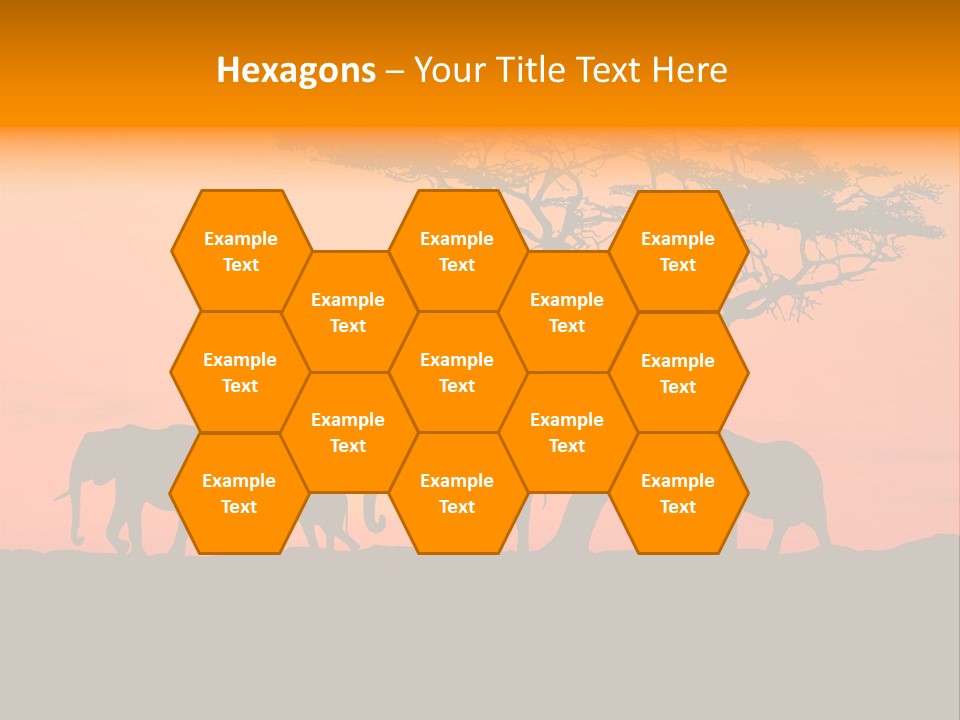 A Group Of Elephants Standing Under A Tree At Sunset PowerPoint Template