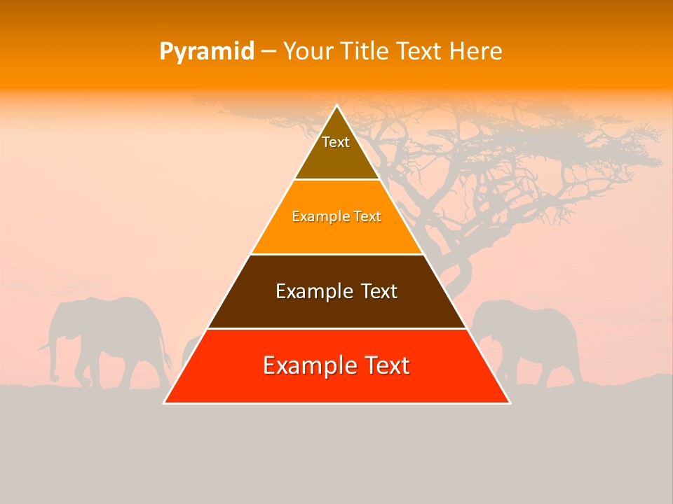 A Group Of Elephants Standing Under A Tree At Sunset PowerPoint Template