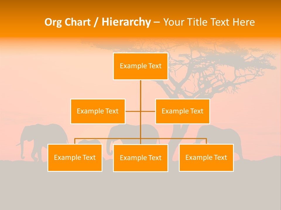 A Group Of Elephants Standing Under A Tree At Sunset PowerPoint Template
