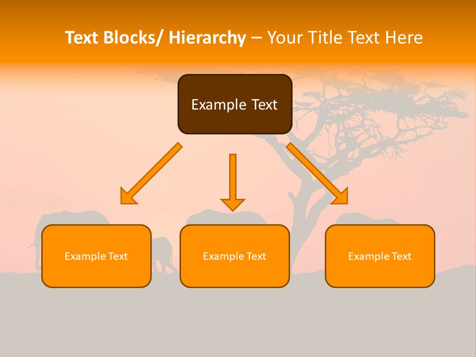 A Group Of Elephants Standing Under A Tree At Sunset PowerPoint Template