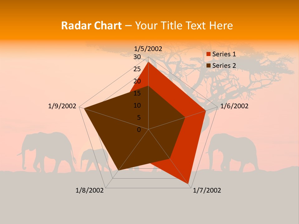 A Group Of Elephants Standing Under A Tree At Sunset PowerPoint Template