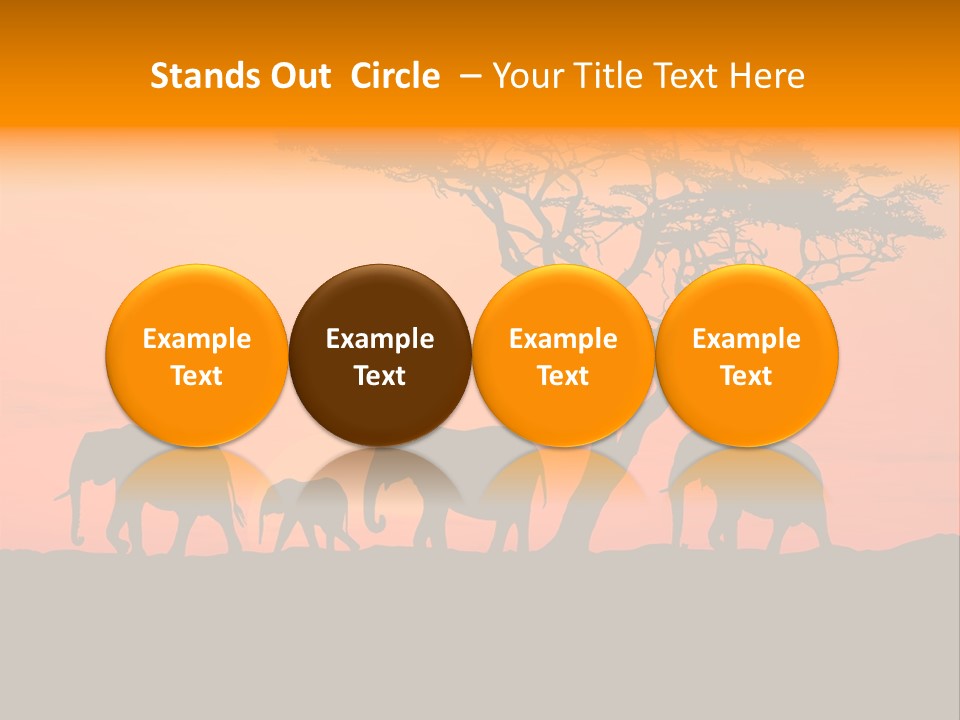 A Group Of Elephants Standing Under A Tree At Sunset PowerPoint Template
