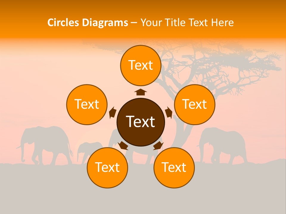 A Group Of Elephants Standing Under A Tree At Sunset PowerPoint Template