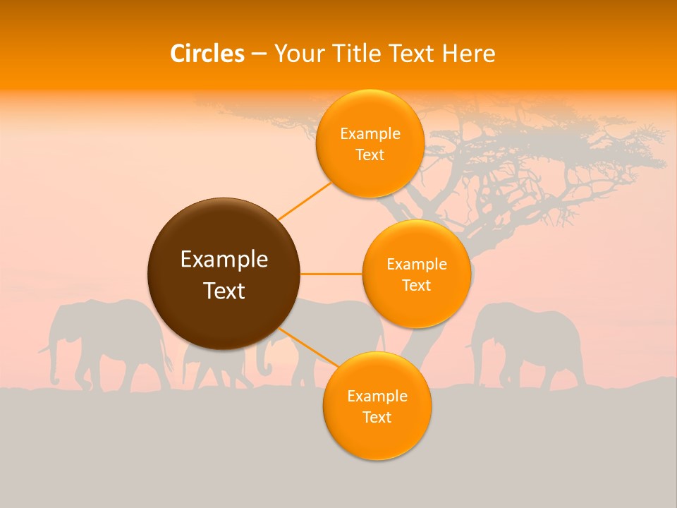 A Group Of Elephants Standing Under A Tree At Sunset PowerPoint Template