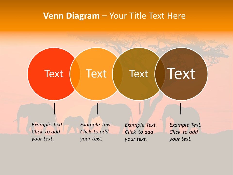 A Group Of Elephants Standing Under A Tree At Sunset PowerPoint Template