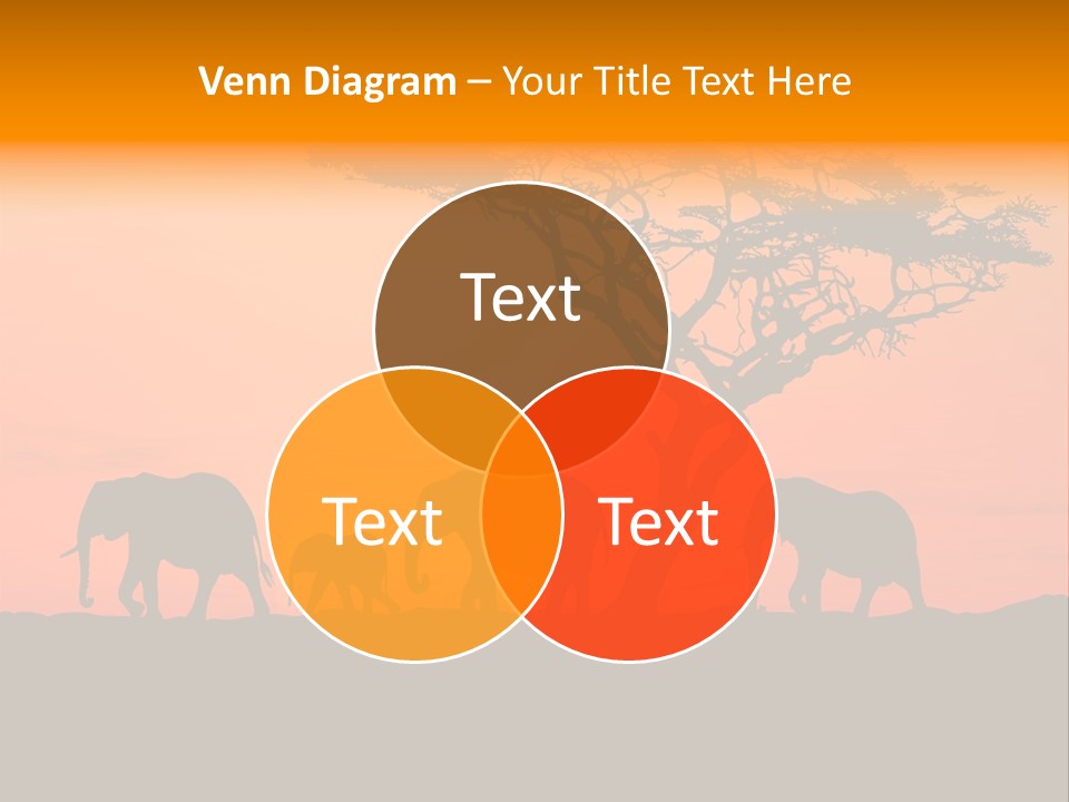 A Group Of Elephants Standing Under A Tree At Sunset PowerPoint Template