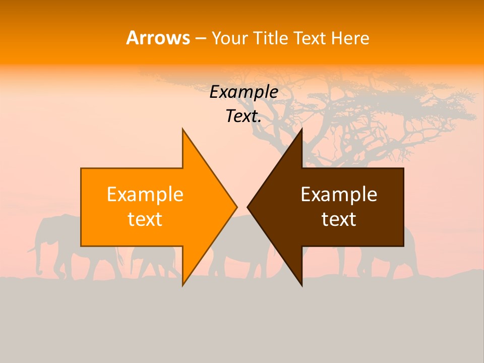 A Group Of Elephants Standing Under A Tree At Sunset PowerPoint Template