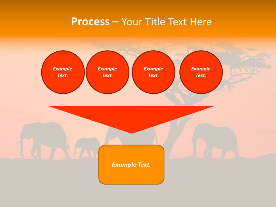 A Group Of Elephants Standing Under A Tree At Sunset PowerPoint Template