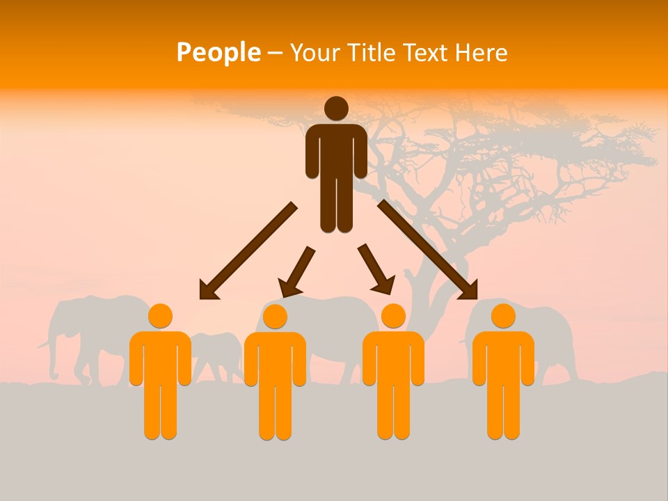 A Group Of Elephants Standing Under A Tree At Sunset PowerPoint Template