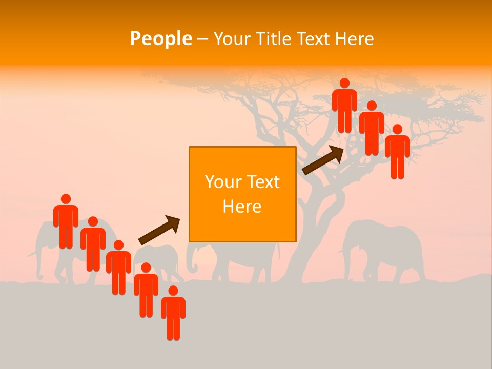 A Group Of Elephants Standing Under A Tree At Sunset PowerPoint Template