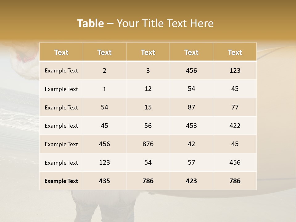 Roofing People Store PowerPoint Template