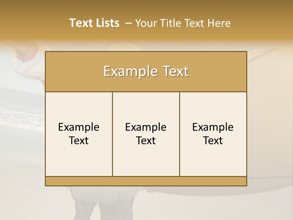 Roofing People Store PowerPoint Template