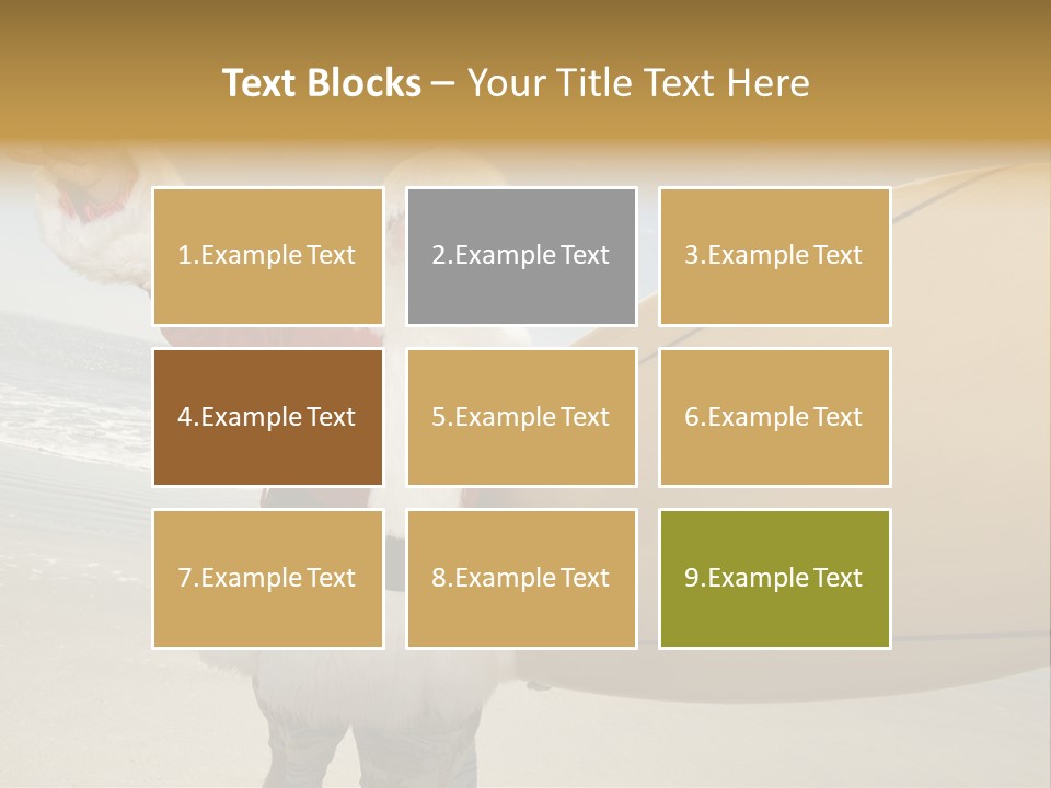 Roofing People Store PowerPoint Template
