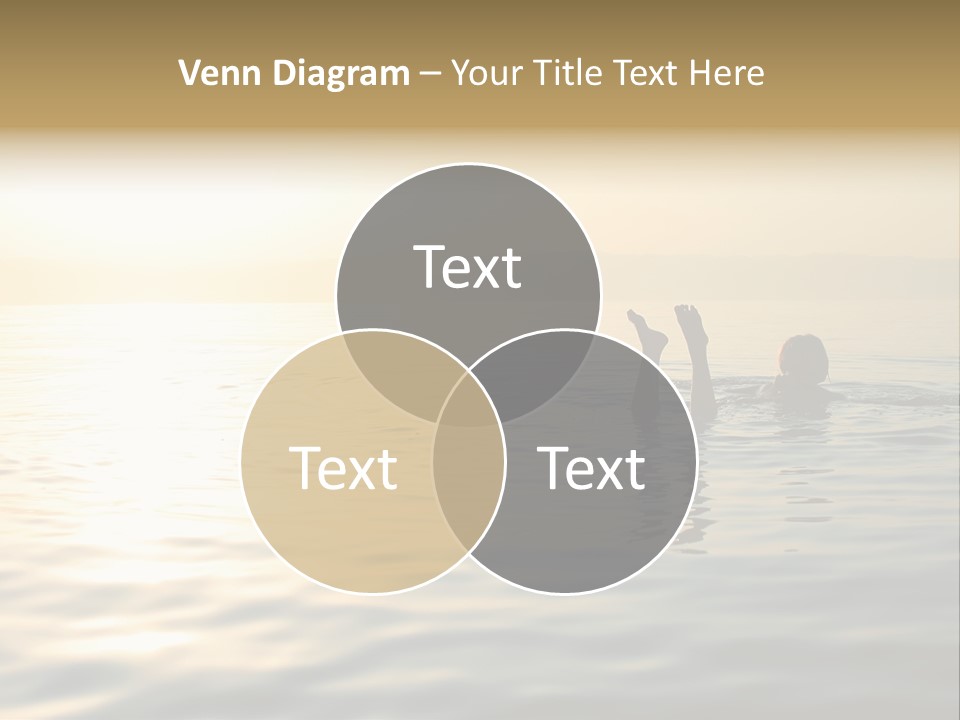 Trade Shopper Alley PowerPoint Template