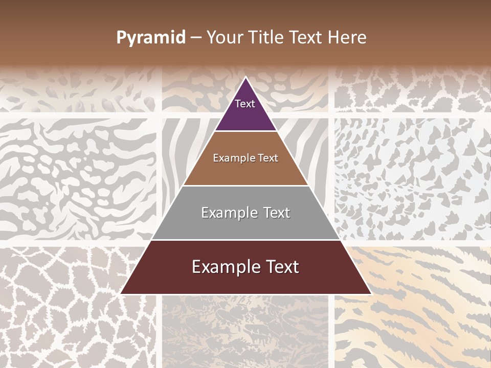 Loss Pink Front PowerPoint Template