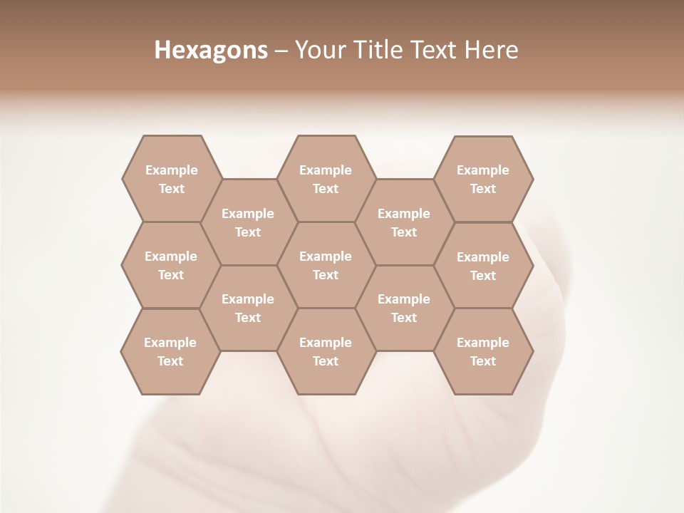 Seasons Pink Shoe PowerPoint Template