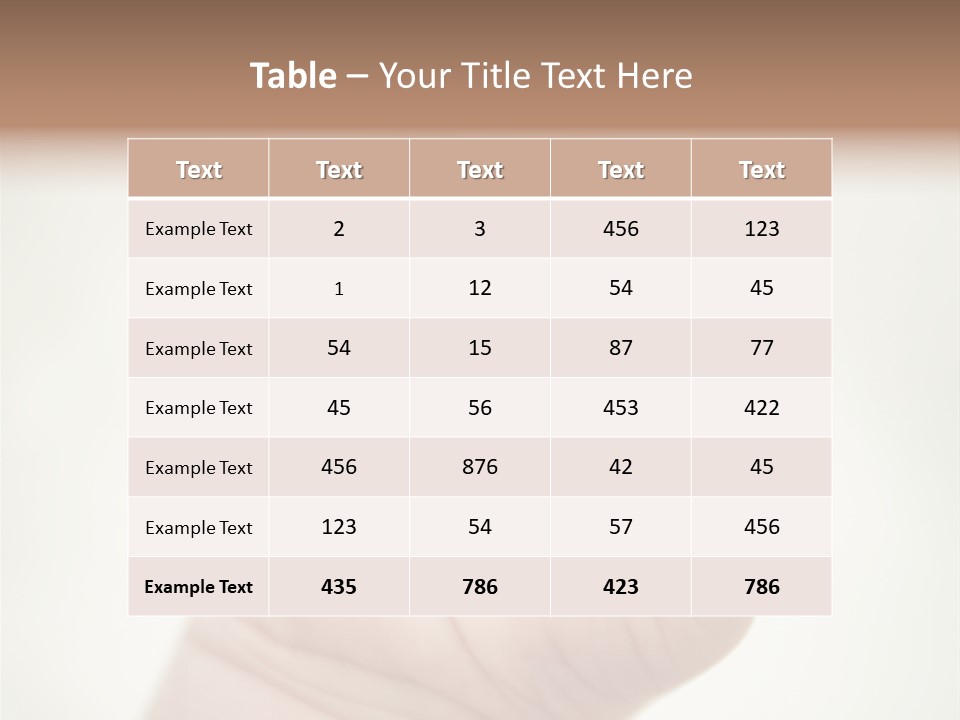 Seasons Pink Shoe PowerPoint Template