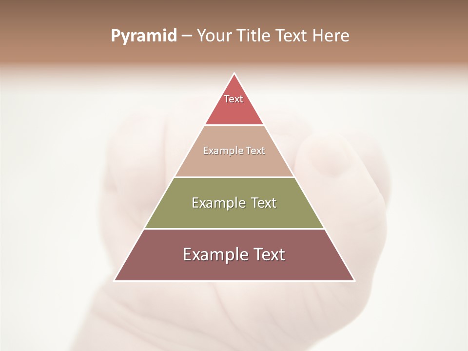 Seasons Pink Shoe PowerPoint Template