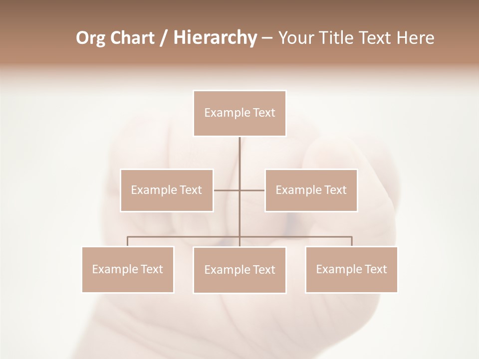 Seasons Pink Shoe PowerPoint Template