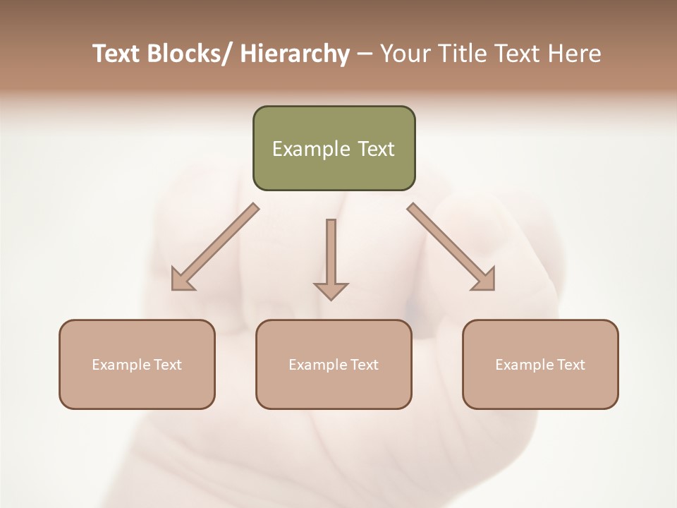 Seasons Pink Shoe PowerPoint Template