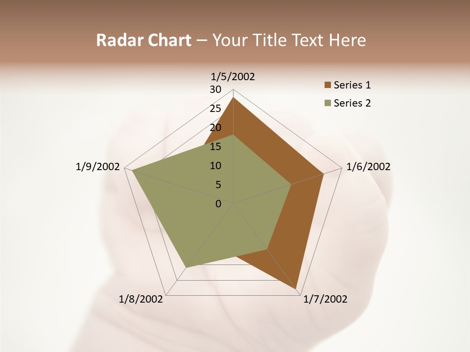 Seasons Pink Shoe PowerPoint Template