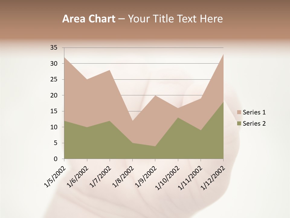 Seasons Pink Shoe PowerPoint Template