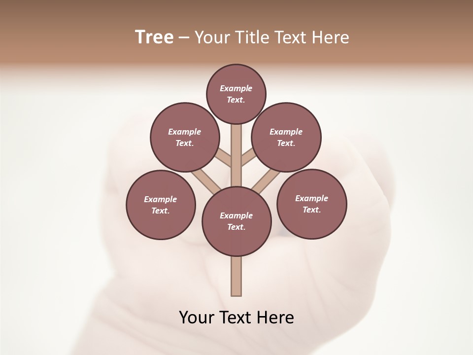 Seasons Pink Shoe PowerPoint Template